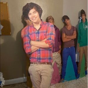 Harry Styles cardboard cut out (life size)